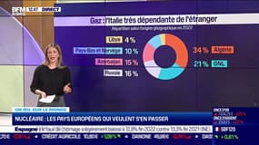 Un œil sur le monde : nucléaire, les pays européens qui veulent s'en passer