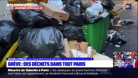 Grève des éboueurs: les déchets continuent de s'accumuler dans les rues de Paris