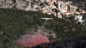2.000 hectares ont été ravagés par les flammes