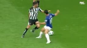 Hatem Ben Arfa