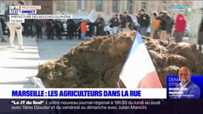 Marseille: les agriculteurs dans la rue
