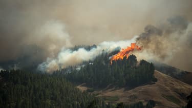 L'incendie à Grande Canarie le 18 août