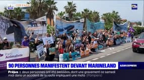 Antibes: 90 personnes manifestent devant le Marineland pour réclamer la création d'un sanctuaire pour quatre orques
