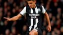 Hatem Ben Arfa