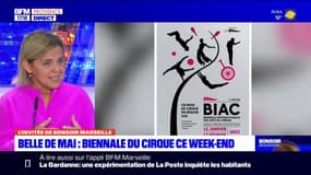 Biennale internationale des arts du cirque: la cinquième édition s'ouvre ce jeudi