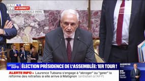 Violette Spillebout (Ensemble), estime que tous les partis, dont le RN, doivent être représentés aux postes-clefs à l'Assemblée
