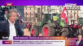Expliquez-nous - Crise agricole : France/UE, la colère ne retombe pas 