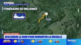 C beau chez nous: descendre le Rhin pour remonter la Moselle