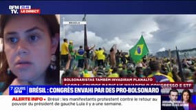 Lieux de pouvoir brésiliens pris d'assaut: "Ce sont les militants les plus radicaux", explique Silvia Capanema, historienne spécialiste du Brésil