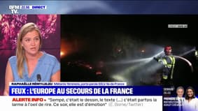 Raphaëlle Rémy-Leleu: "On ne peut plus traiter les incendies ou les épisodes caniculaires comme des crises"