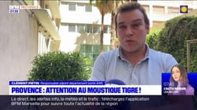 Provence: l'ARS appelle à lutter contre le moustique tigre 