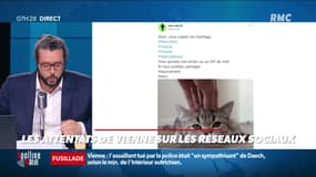 #Magnien, la chronique des réseaux sociaux : Les attentats de Vienne sur les réseaux sociaux - 03/11