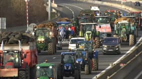 Des agriculteurs mobilisés sur la M6. 