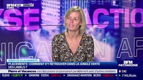 Idée de placements: Placements, comment s'y retrouver dans la jungle verte des labels ? - 16/11
