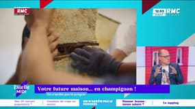 On n'arrête pas le progrès : Votre future maison... en champignon ! - 06/03