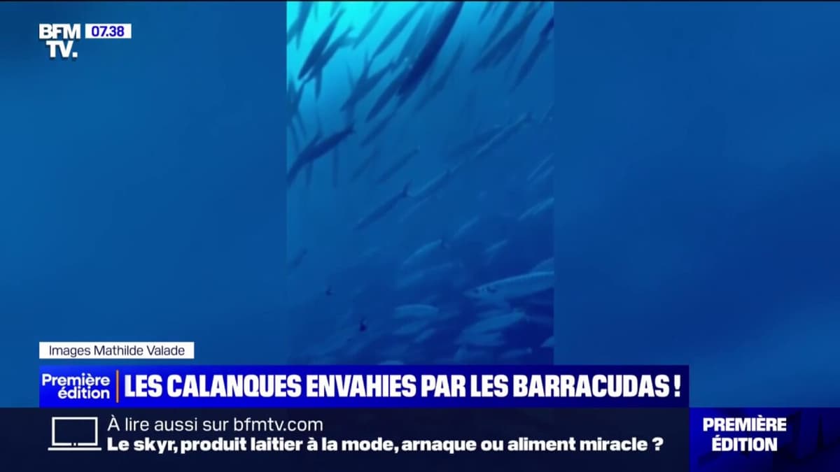 placeholder video