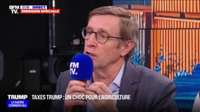 "Il n'y aura pas de gagnant, il doit y avoir une solidarité nationale entre les filières": Dominique Chargé, président de Coopération agricole, appelle à réagir avec "lucidité" aux taxes douanières