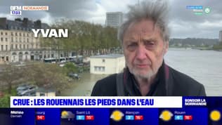 "Je n'avais jamais vu la Seine de cette manière": à Rouen, la Seine dépasse les 9,60m