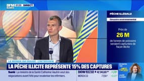 Le monde qui bouge - L'Interview : La pêche illicite représente 15% des captures - 28/05