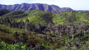 Paysage de Nouvelle-Calédonie.