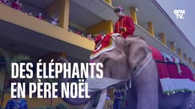 En Thaïlande, des éléphants déguisés en père Noël distribuent des cadeaux avec leur trompe 