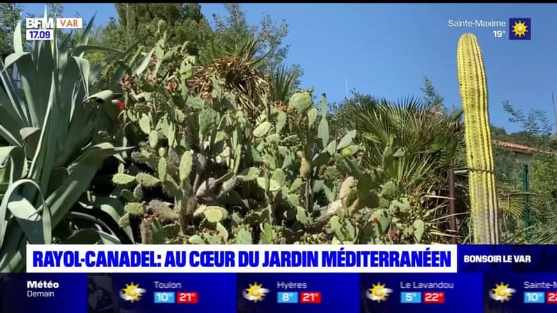 Rayol-Canadel-sur-Mer: au cœur du jardin méditerranéen