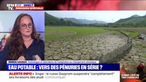 Eau potable: "On est en train de réduire la part de gâteau disponible pour tous les utilisateurs d'eau", alerte l'hydrologue Emma Haziza