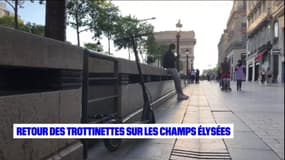 Paris: les trottinettes électriques de nouveau autorisées sur les Champs-Elysées