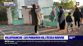 Villefranche : les punaises K.O, l'école rouvre