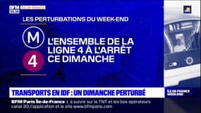 Ile-de-France: un dimanche perturbé dans les transports en commun