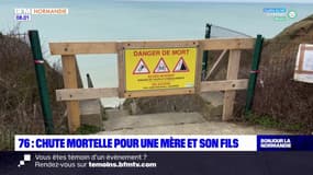 "Une histoire tragique": une mère et son fils de 3 ans chutent mortellement d'une falaise à Sotteville-sur-Mer 