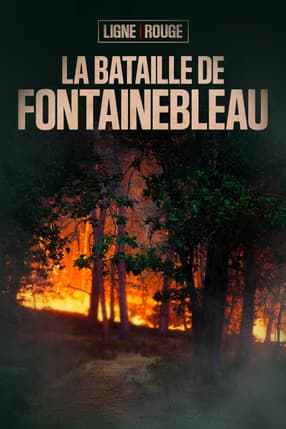 Incendie: la bataille de Fontainebleau