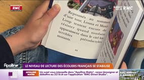 Le niveau de lecture des écoliers français se stabilise