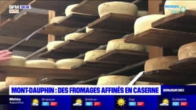 Mont-Dauphin: des fromages affinés en caserne