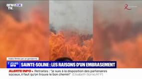 Sainte-Soline: les raisons de l'embrasement