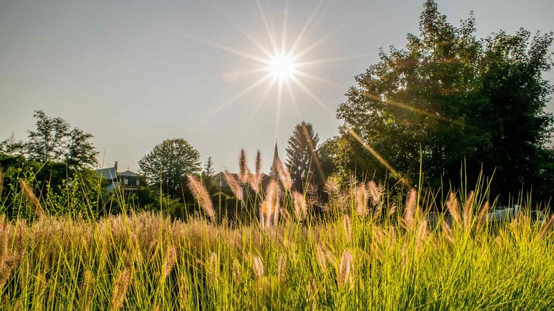 Le soleil en Aquitaine cet été