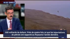 Le nouveau projet pharaonique de l'Arabie Saoudite