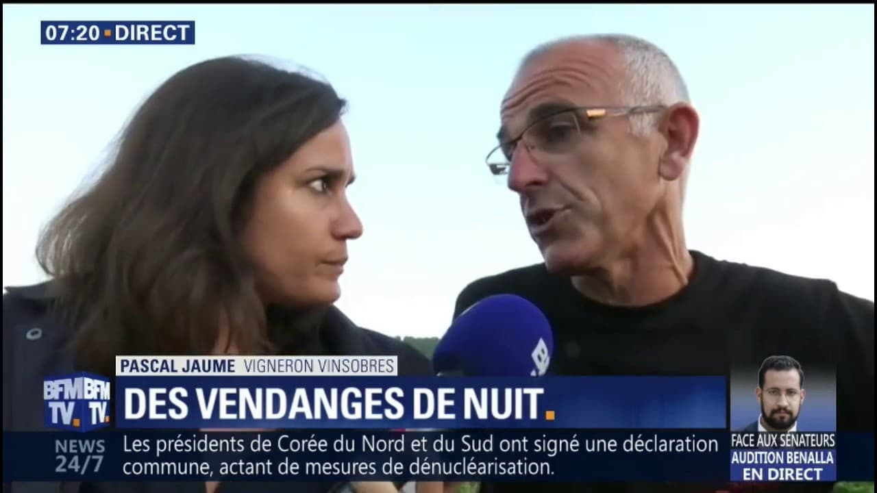 Dans La Chaleur De La Nuit Replay A cause de la chaleur, les vendanges ont lieu de nuit