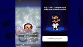 Le jeu mobile "Mos Life" développé par Dr Nozman.