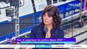 "Ces petites lignes sont moins fréquentées parce qu'on a détruit le territoire. Il faut les préserver à tout prix !" Périco Légasse et Thierry Moreau dénoncent l'abandon de ces petites lignes SNCF et militent pour leur réhabilitation. 