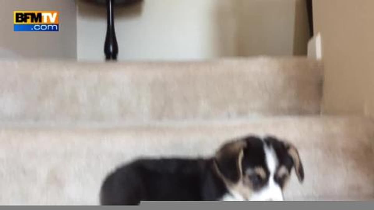 placeholder video