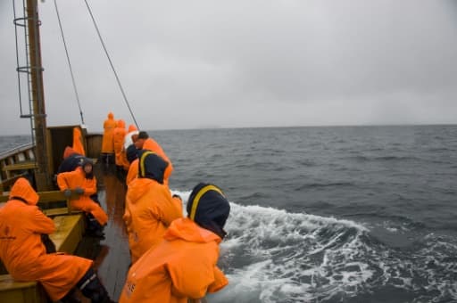 Des touristes à bord d'un bateau tentent d'apercevoir des baleines, le 28 juin 2011 au large de Husavik, en Islande Des touristes à bord d'un bateau tentent d'apercevoir des baleines, le 28 juin 2011 au large de Husavik, en Islande