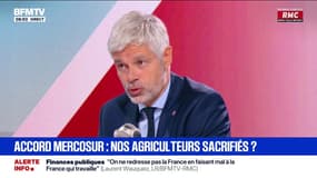 Mercosur: "Dans ces accords, l'agriculture est systématiquement sacrifiée", estime Laurent Wauquiez (LR)
