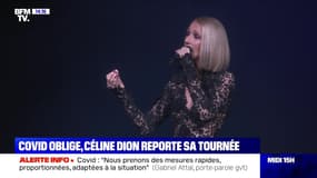 Covid oblige, Céline Dion reporte sa tournée - 17/02
