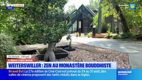 C beau chez nous: moment de détente et de méditation au monastère bouddhiste de Weiterswiller