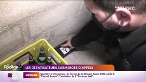 RMC chez vous : Les dératisateurs submergés d'appels - 26/11