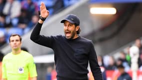 Fabio Grosso en colère lors du match de Lyon contre Metz, novembre 2023