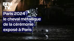 Paris 2024: le cheval de la cérémonie d'ouverture exposé à Paris
