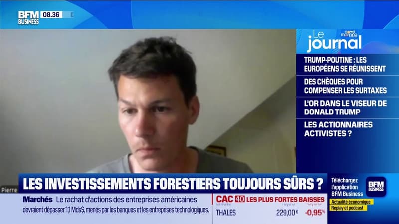 Avec la multiplication des incendies, les investissements forestiers sont-ils toujours sûrs?