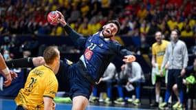 France-Suède : Ludovic Fabregas 